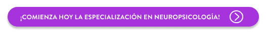 Comienza hoy la especialización en neuropsicología 
