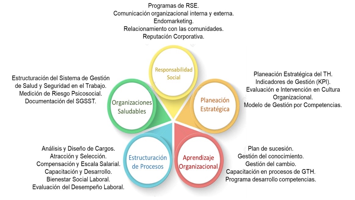 Consultorio de Talento Humano - Lineas de acción