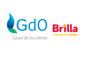 Gases de Occidente