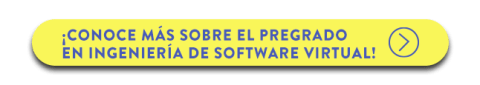 Es una profesión que se ocupa de la cadena de valor de construcción y mantenimiento de sistemas de software.