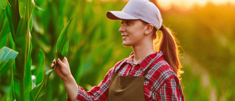 Profesional en administración de agronegocios
