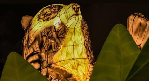 Festival de luces para esta navidad en el Jardín Botánico