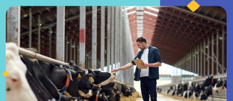 Qué funciones desempeña un administrador de agronegocios