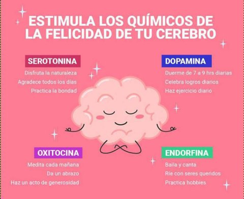Químicos de la felicidad Químicos de la felicidad